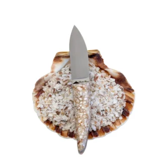 Le Petit couteau à huître (13 cm), dont le manche est fabriqué à partir de coquilles Saint-Jacques recyclées, est présenté sur une coquille Saint-Jacques remplie de coquilles écrasées, sur fond blanc.