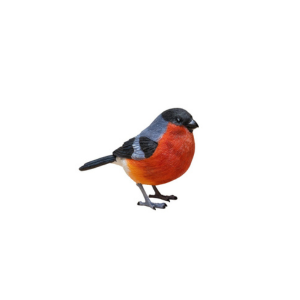 Un petit oiseau à la poitrine rouge-orange, aux ailes gris foncé, à la queue noire et à la tête noire se tient au sol sur un fond blanc - un charmant accent déco de Bouvreuil pivoine pour votre espace.