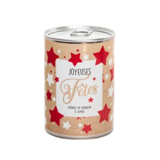 Une boîte festive, décorée d'étoiles rouges et blanches sur fond marron, étiquetée "Joyeuses Fêtes" et "Graines de bonheur à semer". Ce Kit à semer - Joyeuses Fêtes comprend des graines à planter pour les fêtes de fin d'année.