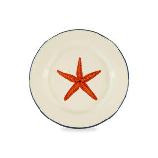 L'Assiette Émaillée 25 cm est une assiette de couleur crème avec un fin bord foncé et une illustration d'une étoile de mer orange au centre.