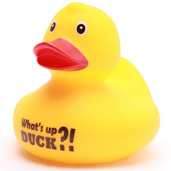 Le canard en caoutchouc « What’s up Duck ?! » est un canard en caoutchouc jaune aux grands yeux et au bec rouge, sur la poitrine duquel est imprimée en lettres noires la phrase « What’s up ?! DUCK ».
