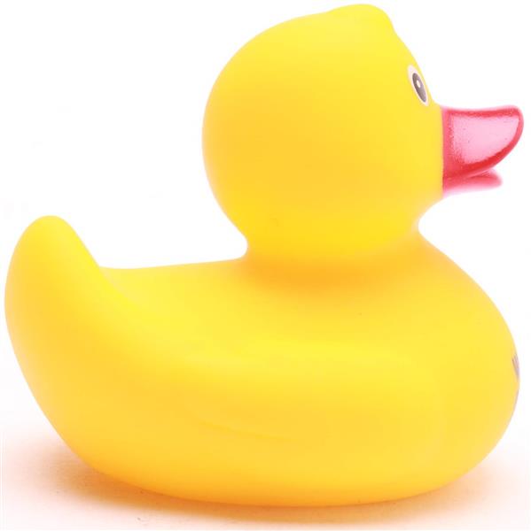 Canard en caoutchouc « What’s up Duck ?! » de couleur jaune avec un bec orange, représenté de profil sur fond blanc.