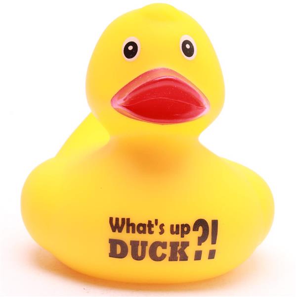 Le canard en caoutchouc « What’s up Duck ?! » est un canard en caoutchouc jaune aux grands yeux et au bec rouge, sur lequel est imprimée en noir la phrase « What’s up DUCK ?! » sur le devant.