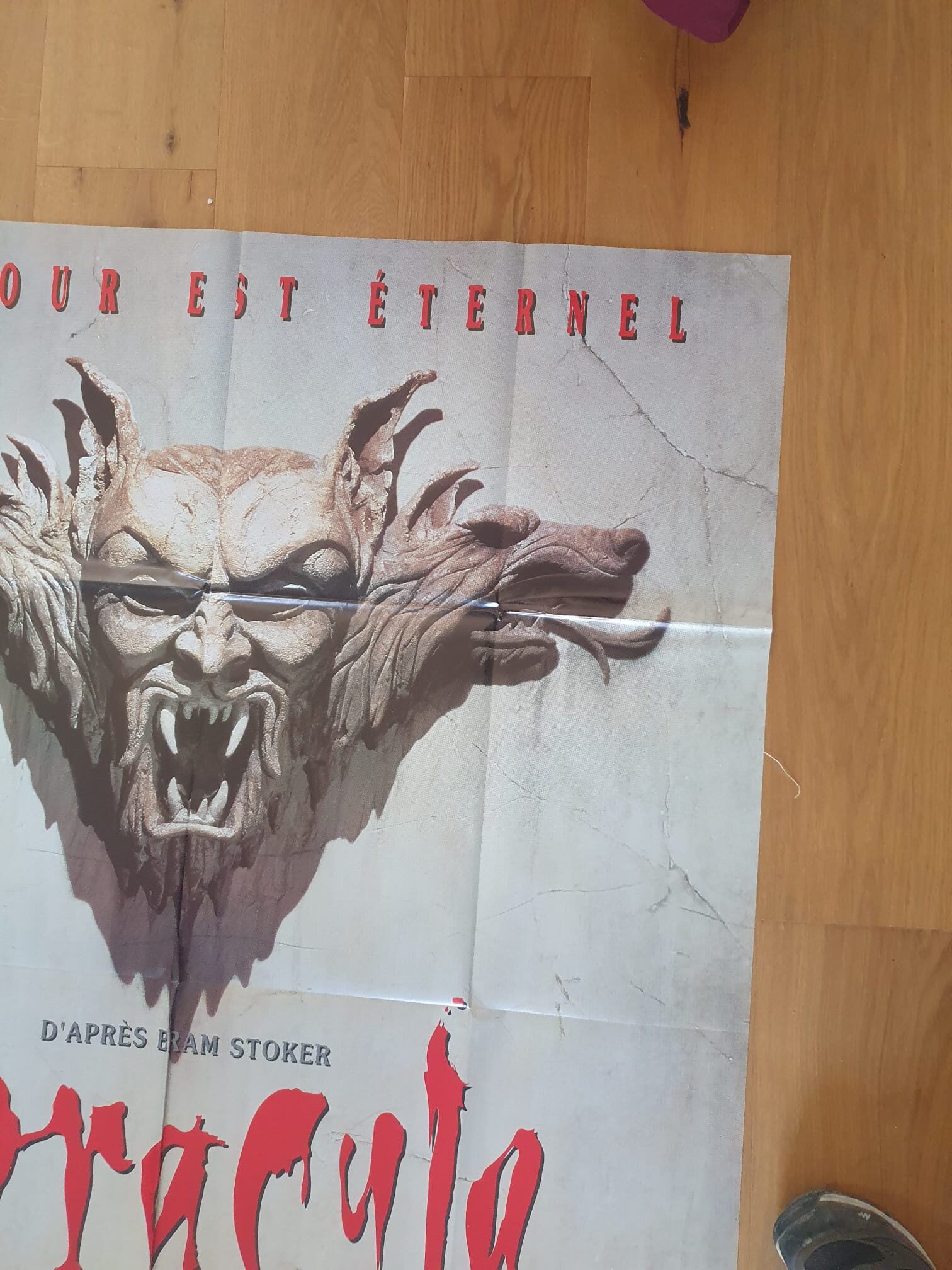 Une « Affiche de cinéma Dracula : L’amour est éternel – 120 × 160 cm », partiellement pliée, repose sur un plancher en bois ; on y voit un visage de pierre ressemblant à une gargouille, avec des crocs et des oreilles d’animal, un texte en français en haut de l’affiche, ainsi qu’une chaussure visible dans le coin inférieur droit.